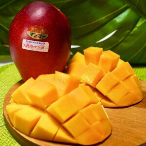 yӂ邳Ɣ[Łzss\ 2026NtwVg̃}S[x{ÓYA[EB}S[ 800g i2ʁjypzuLA MANGUE BLEUEv_ƒiGZ002j