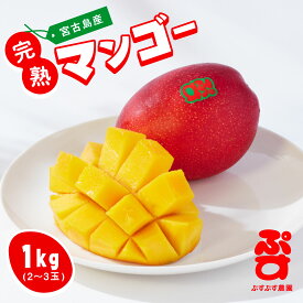 【ふるさと納税】 【ぷすぷす農園】宮古島産完熟マンゴー(家庭用／1キロ／農園直送)（KY001）