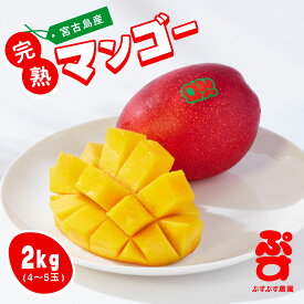 【ふるさと納税】【ぷすぷす農園】宮古島産完熟マンゴー(家庭用／2キロ／農園直送)（KY002）