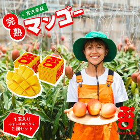 【ふるさと納税】【ぷすぷす農園】宮古島産完熟マンゴー1玉入り×2個セット（農園直送）(KY005）