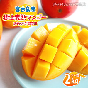 yӂ邳Ɣ[Łz2026NĔ {ÓY㊮n}S[i󂠂/ƒpj2kgi3`6ʁjObgNbv{ÓiSG005j