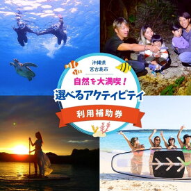 【ふるさと納税】宮古島の自然を大満喫！選べるアクティビティチケット（ツアー30,000円分）（YH004）