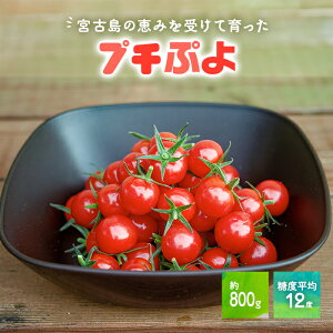 �y�ӂ邳�Ɣ[�Łz�{�Ó��Y �g�}�g �y�v�`�Ղ�z ��800g�@���x����12�x�iPN02�j