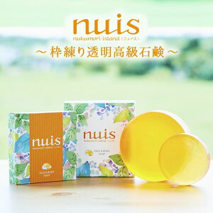 【ふるさと納税】3ヶ月かけてつくる上質泡石鹸(100g×1個・25g×1個)(BW07)