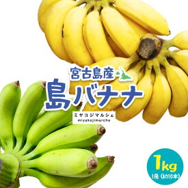 【ふるさと納税】宮古島産バナナ1kg【（株）フラモン】（JH007）