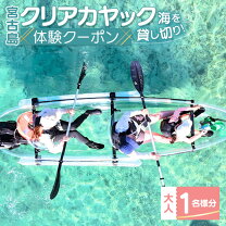 楽天市場】クリアカヤックの通販