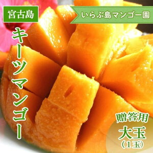 �y�ӂ邳�Ɣ[�Łz�y��s��t�z��2026�N����������ԓ��}���S�[���@�{�Ó��Y �g�L�[�c�}���S�[�h�s�����p�t���1�ʁiHR06�j