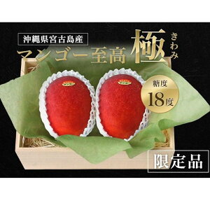 yӂ邳Ɣ[Łzss\t˔荂}S[b}S[`Ɂ`݁bꌧ{ÓYy}VFz