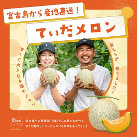 【ふるさと納税】【メロン定期便】宮古島産てぃだメロン 1玉《2025年冬・2026年春発送》＜8farm＞(JC003)