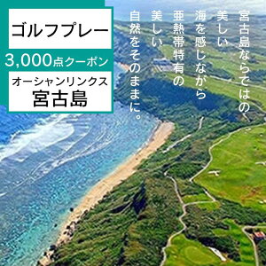 yӂ邳Ɣ[ŁzI[VNX{Ó@v[3,000_N[| | St v[ Stp ό `Pbg  ][g Mtg v[g lC   썑 {Ó iL10