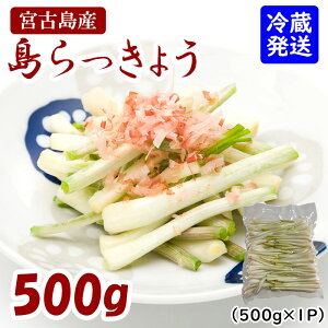 yӂ邳Ɣ[Łz傤i500gj | 썑   {Ó bLE Ђ Ђ VՂ