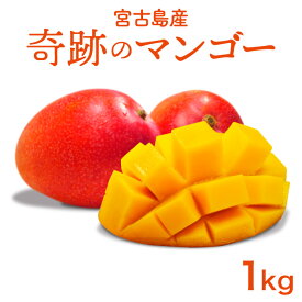 【ふるさと納税】《先行予約2026年発送》【宮縁果樹園】宮古島産　奇跡のマンゴー　1kg　お手頃（CZ010）