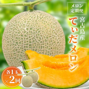 【ふるさと納税】【メロン定期便】宮古島産てぃだメロン 1玉《2025年冬・2026年春発送》<8farm>(JC003)
