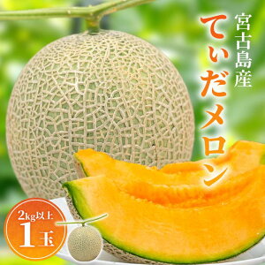 【ふるさと納税】【8farm】宮古島産てぃだメロン1玉(2kg以上)《2025年12月〜1月発送》(JC005)