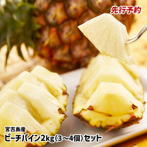 yӂ邳Ɣ[Łzss\ty2026Nz{ÓYs[`pC 2kgi3`4jZbgs_tiAK107j