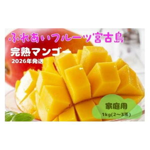 �y�ӂ邳�Ɣ[�Łz��2026�N�Ĕ������y�ƒ�p�z�����܁I�{�Ó��Y�A�b�v���}���S�[1kg(2�`3��)�ӂꂠ���t���[�c�{�Ó��y�ƒ�p�z�����܁I�{�Ó��Y�A�b�v���}���S�[1kg(2�`3��)�ӂꂠ���t���[�c