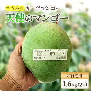 �y�ӂ邳�Ɣ[�Łz�s��s�\�� 2026�N�����t�w�V�g�̃}���S�[�x�{�Ó��Y�L�[�c�}���S�[�sLA MANGUE BLEUE�t�y������p�z�_�ƒ��� 1.6kg�ȏ�i2�`4����j | �ƒ�p �K�i�O ���E�O��ʎ� �L�[�c ��