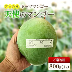 �y�ӂ邳�Ɣ[�Łz�s��s�\�� 2026�N�����t �w�V�g�̃}���S�[�x�{�Ó��Y�L�[�c�}���S�[ ��800g�i1�ʁj�������p�uLA MANGUE BLEUE�v�_�ƒ����iGZ005�j