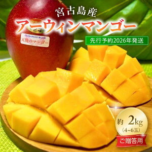 �y�ӂ邳�Ɣ[�Łz�s��s�\��2026�N�����t�w�V�g�̃}���S�[�x�{�Ó��Y�A�[�E�B���}���S�[ 2kg�i4�`6�ʁj�y�������p�z�uLA MANGUE BLEUE�v�_�ƒ����iGZ006�j