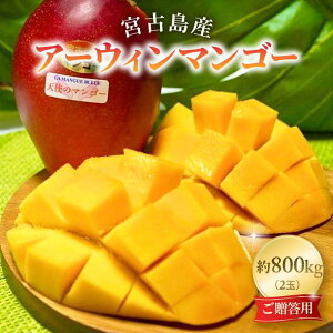 �y�ӂ邳�Ɣ[�Łz�s��s�\�� 2026�N�����t�w�V�g�̃}���S�[�x�{�Ó��Y�A�[�E�B���}���S�[ ��800g �i2�ʁj�y�������p�z�uLA MANGUE BLEUE�v�_�ƒ����iGZ002�j