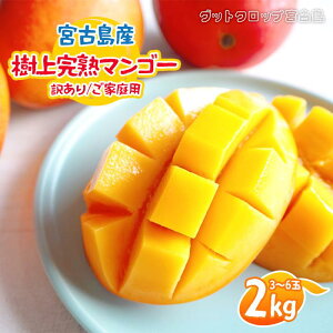 �y�ӂ邳�Ɣ[�Łz��2026�N�Ĕ����� �{�Ó��Y���㊮�n�}���S�[�i�󂠂�/���ƒ�p�j2kg�i3�`6�ʁj�O�b�g�N���b�v�{�Ó��iSG005)