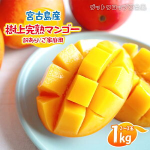 �y�ӂ邳�Ɣ[�Łz��2026�N�Ĕ����� �{�Ó��Y���㊮�n�}���S�[�i�󂠂�/���ƒ�p�j1kg�i2�`3�ʁj�O�b�g�N���b�v�{�Ó��iSG004�j