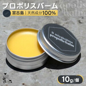 【ふるさと納税】宮古島プロポリスバーム(10g/個)(HJ006)
