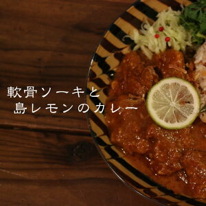 yӂ邳Ɣ[ŁzMOSESU CURRY̓J[V[Y@\[LƓ̃J[ 250gi6Hj | Hi y gg J[ O lC  n   {Ó