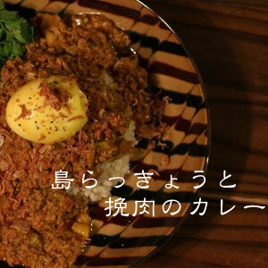 yӂ邳Ɣ[ŁzMOSESU CURRY̓J[V[Y@傤ƂЂ̃J[ 250gi6Hj | Hi y gg J[ O lC  n   {Ó