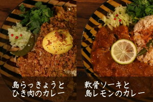 �y�ӂ邳�Ɣ[�ŁzMOSESU CURRY�̓��J���[�V���[�Y�Z�b�g�@�e250g×3�H�iFP005�j