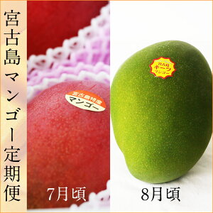 yӂ邳Ɣ[Łzss\t{ÓY }S[ZbgbA[EBL[cbt[c S2񁃗}VF | t[c ʕ }S[ A[EB L[c Hה Zbg lߍ