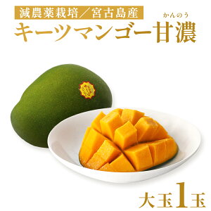 【ふるさと納税】《先行予約》沖縄県宮古島産 減農薬栽培 キーツマンゴー甘濃(かんのう)1玉【琉球マルシェ】