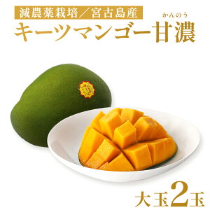【ふるさと納税】《先行予約》沖縄県宮古島産 減農薬栽培 キーツマンゴー甘濃(かんのう)2玉【琉球マルシェ】 | 数量限定 キーツマンゴー 果物 フルーツ 名産 特産 名産品 ご当地 人気 ギ