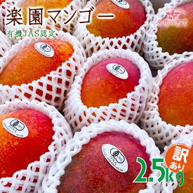 【ふるさと納税】《先行予約》2026年発送 有機JAS認証マンゴー（アーウィン）わけあり 2.5kg【楽園の果実】(DQ021)