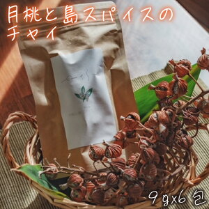 yӂ邳Ɣ[Łz{Ó 䂳с@ƓXpCX̃`C | 썑 {Ó  IWi`C ~NeB[iDH002j