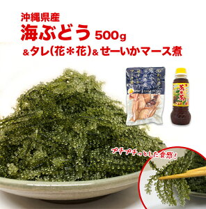 yӂ邳Ɣ[ŁzsYCԂǂ500g