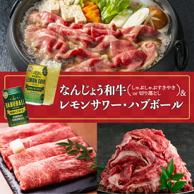 【ふるさと納税】＜選べる種類＞なんじょう和牛（しゃぶしゃぶすきやき or 切り落とし）＆レモンサワー・ハブボール I なんじょう和牛 和牛 和牛セット しゃぶしゃぶ すきやき 切り落とし 酒セット レモンサワー ハブボール お肉お酒セット　ギフト 沖縄県 南城市