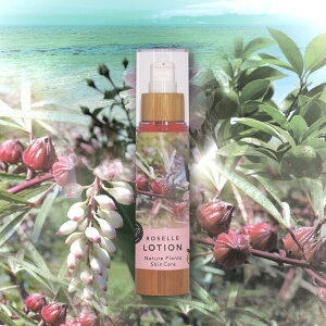yӂ邳Ɣ[ŁzyNature Plants Skin Carez [[Lotion 50ml