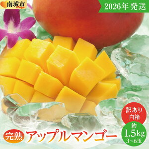 yӂ邳Ɣ[Łzy2026Nz󂠂EƒpnAbv}S[1.5kgij3ʁ`6