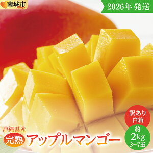 yӂ邳Ɣ[Łzy2026Nz󂠂EƒpnAbv}S[2kgij3ʁ`7