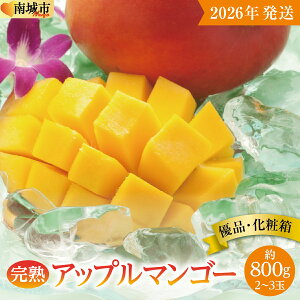 yӂ邳Ɣ[Łzy2026NzDinAbv}S[800giϔj2ʁ`3