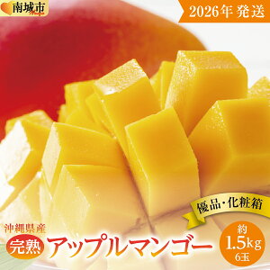 【ふるさと納税】【2026年発送】<優品>完熟アップルマンゴー約1.5kg(化粧箱)6玉