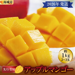 yӂ邳Ɣ[Łz(st)y2026NzAbv}S[ s 1kg (2`3)