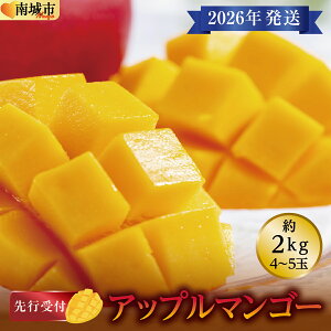 yӂ邳Ɣ[Łz(st)y2026NzAbv}S[ s 2kg (4`5)