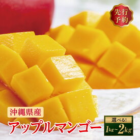 【ふるさと納税】〈選べる内容量〉(先行受付)【2026年発送】アップルマンゴー 南城市 約1kg (2〜3玉) /約2kg (4〜5玉)