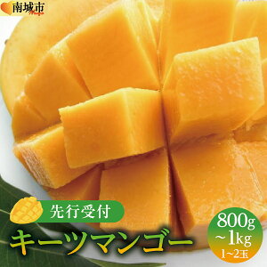 yӂ邳Ɣ[Łz(st)y2026NzL[c}S[ s 800g`1kgi1`2ʁj