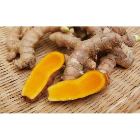 【ふるさと納税】ウコンのふるさと沖縄南城市【秋うこん粒】 I 秋ウコン 粒 サプリ 沖縄県産 健康食品 免疫 美容 国産 ウコン 沖縄県 南城市