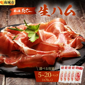 【ふるさと納税】《極上の生ハム》【選べる内容量】美ら島あぐ～ 生ハム 70g ×5〜20パック（350g〜1.4kg）| 沖縄県 南城市 豚肉 生ハム アグー豚と白豚をかけ合わせた 送料無料