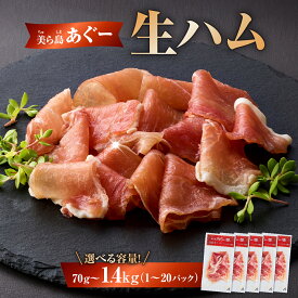 【ふるさと納税】《極上の生ハム》【選べる内容量】美ら島あぐ～ 生ハム 70g ×1～20パック（70g～1.4kg）| 沖縄県 南城市 豚肉 生ハム アグー豚と白豚をかけ合わせた 送料無料