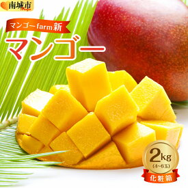 【ふるさと納税】(2026年発送・先行予約)【マンゴーfarm新】 沖縄県南城市産マンゴー化粧箱2kg I マンゴー まんごー トロピカルフルーツ フルーツ ギフト 2000g 2kg 沖縄県 南城市